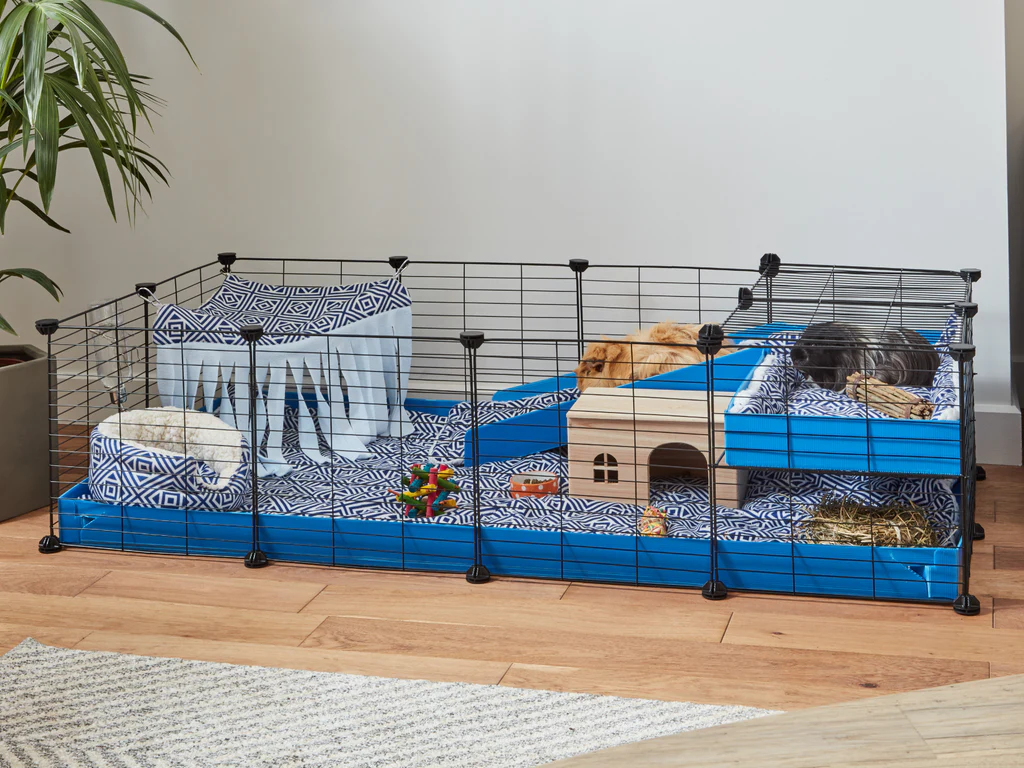 Indoor Guinea Pig Cages