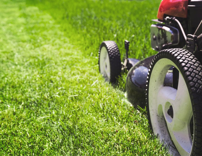 Eco-Friendly Lawn Care Practices for a Greener Yard